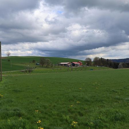 Ferienwohnung Hippenhof Hohenfels  Zewnętrze zdjęcie