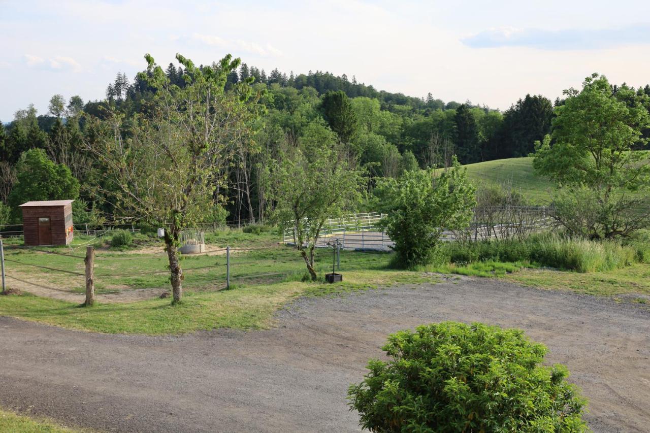 Ferienwohnung Hippenhof Hohenfels  Zewnętrze zdjęcie