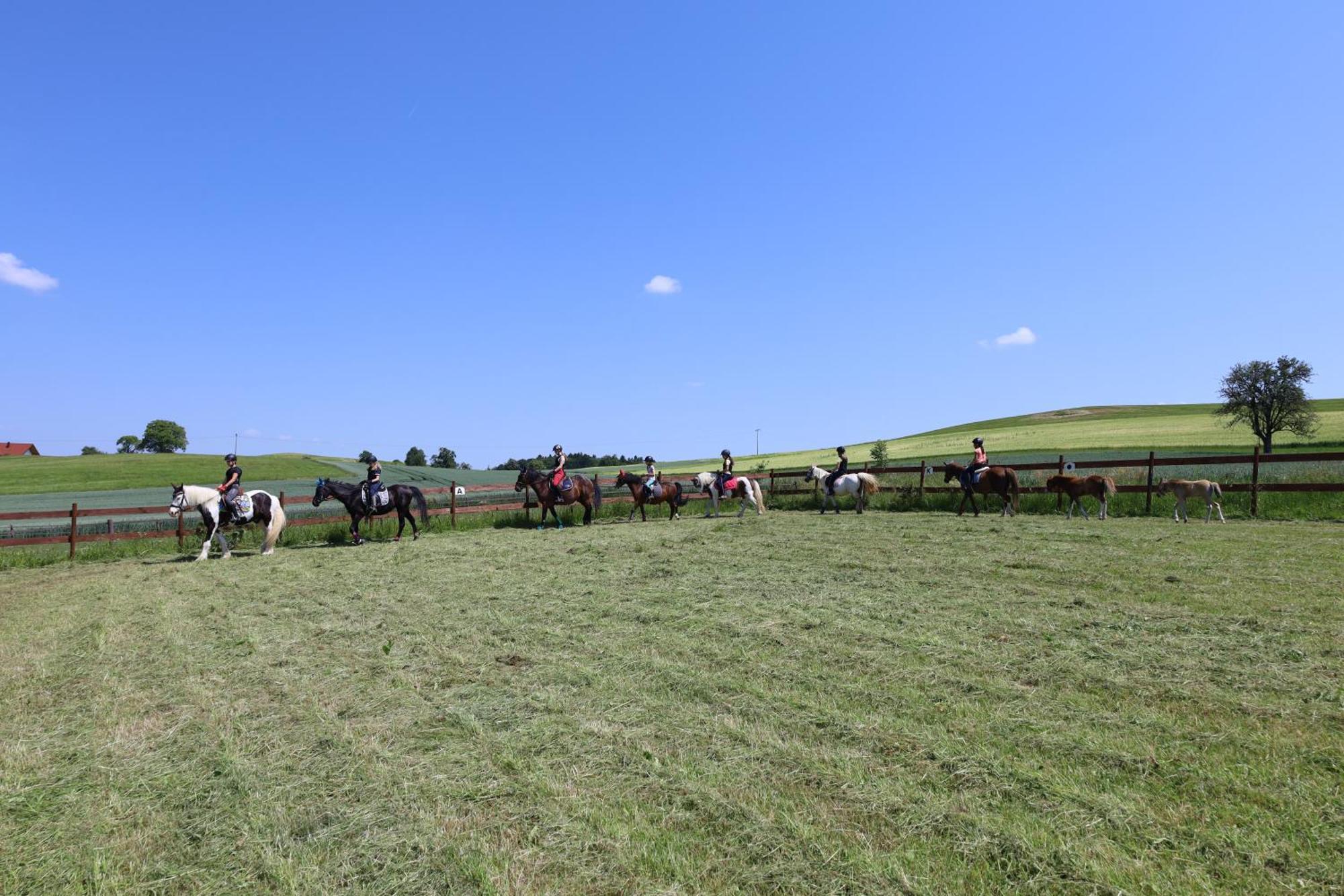 Ferienwohnung Hippenhof Hohenfels  Zewnętrze zdjęcie